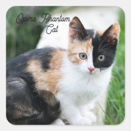 Pegatina Cuadrada Opera Phantom Cat
