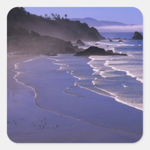 Pegatina Cuadrada OR, Oregon Coast, Ecola SP, Indian Beach con