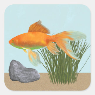 Pegatina Cuadrada Orange Goldfish Nature Aquarium Sticker Sheet