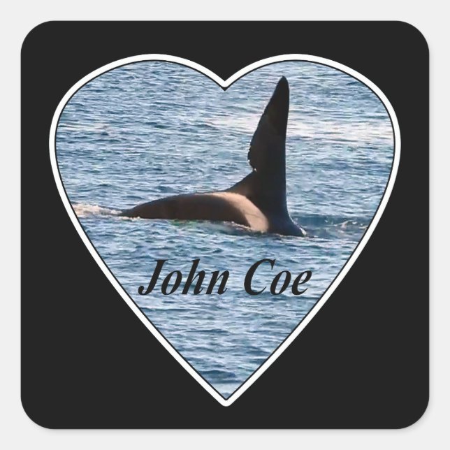 Pegatina Cuadrada Orca asesina de John Coe personalizable (Anverso)