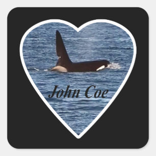 Pegatina Cuadrada Orca asesina personalizada John Coe