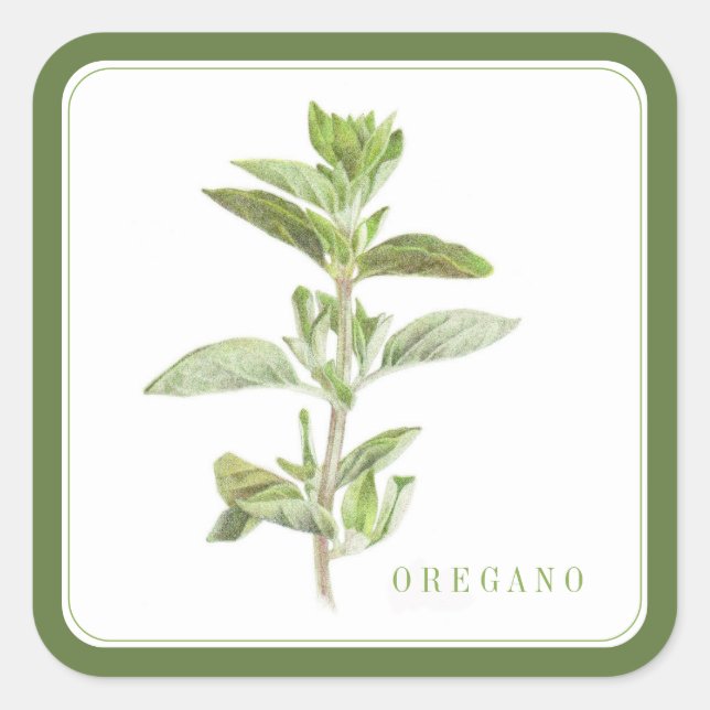 Pegatina Cuadrada OREGANO FRESCO Pegatinas cuadrados grandes (+texto (Anverso)