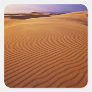 Pegatina Cuadrada Oregon Dunes National Recreation Area, Oregon en