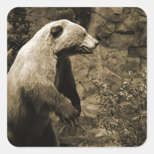 Pegatina Cuadrada Orgullo