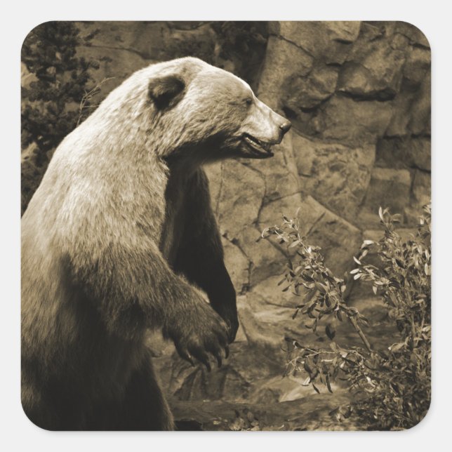 Pegatina Cuadrada Orgullo (Anverso)