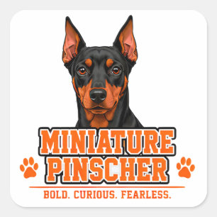Pegatina Cuadrada 🐾 Orgullo de la familia del dueño de Pinscher Min