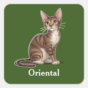 Pegatina Cuadrada Oriental