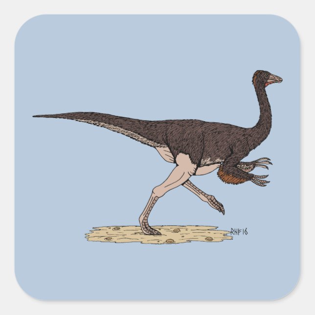 Pegatina Cuadrada Ornithomimus cretácico (Anverso)