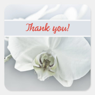 Pegatina Cuadrada Orquídea Blanca Personalizada Floral Gracias