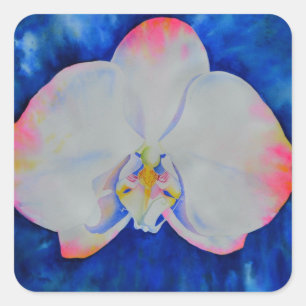 Pegatina Cuadrada Orquídea de Rubor Rosa
