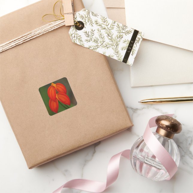 Pegatina Cuadrada Orquídea del ignea del Masdevallia (Regalar)