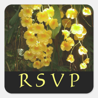 Pegatina Cuadrada Orquídeas Amarillas colgando flores tropicales