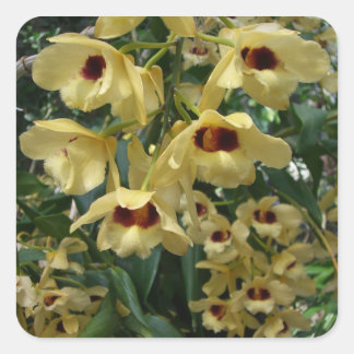 Pegatina Cuadrada Orquídeas amarillas y granates Elegante Floral