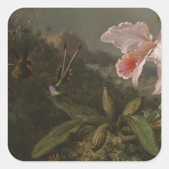 Pegatina Cuadrada Orquídeas de selva y aves húmedas (Anverso)
