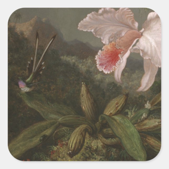 Pegatina Cuadrada Orquídeas de selva y aves húmedas (Anverso)