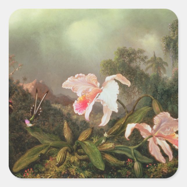 Pegatina Cuadrada Orquídeas de selva y colibríes, 1872 (Anverso)