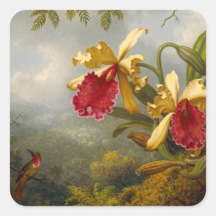 Pegatina Cuadrada Orquids y Hummingbird Heade