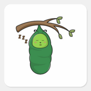 Pegatina Cuadrada oruga en el árbol