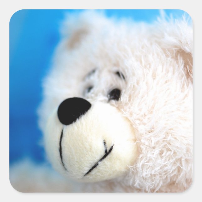 Pegatina Cuadrada Oso azul (Anverso)