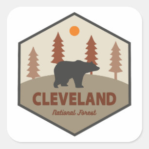 Pegatina Cuadrada Oso del Bosque Nacional Cleveland