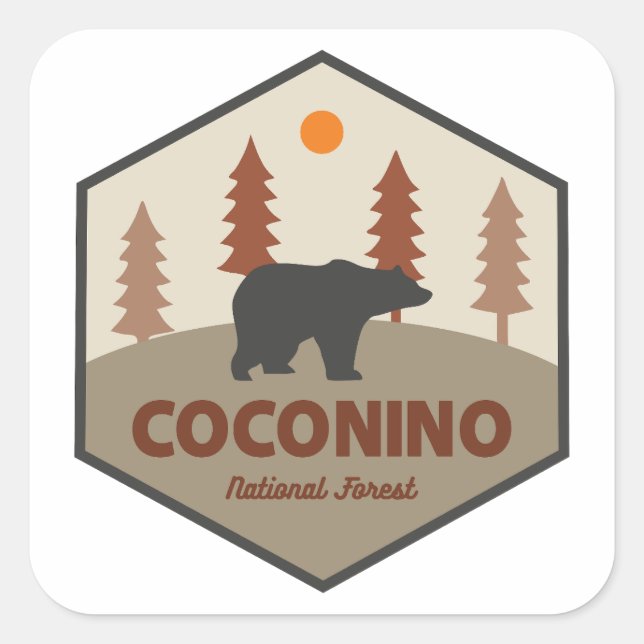 Pegatina Cuadrada Oso del Bosque Nacional Coconino (Anverso)