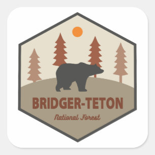 Pegatina Cuadrada Oso Forestal Nacional Bridger-Teton