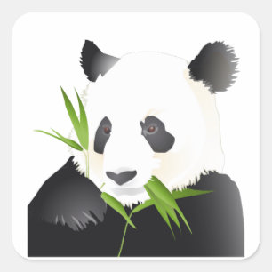 Pegatina Cuadrada Oso Panda