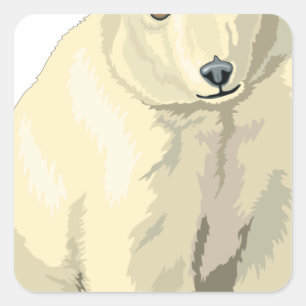 Pegatina Cuadrada Oso Polar Adorable