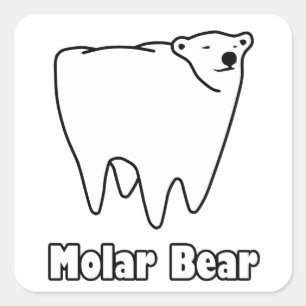 Pegatina Cuadrada Oso polar del diente del oso molar