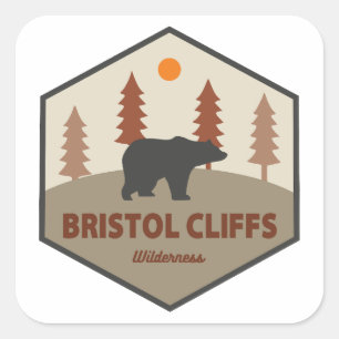 Pegatina Cuadrada Oso salvaje Bristol Cliffs