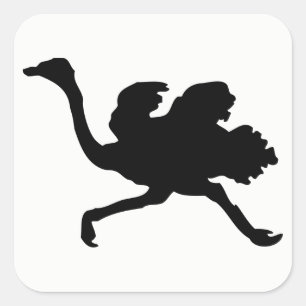 Pegatina Cuadrada Ostrich Silhouette