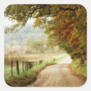 Pegatina Cuadrada Otoño en una carretera rural