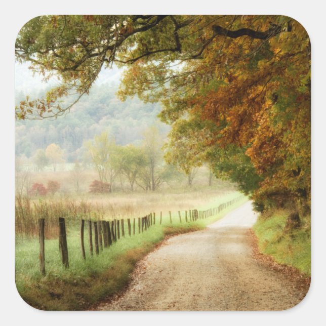 Pegatina Cuadrada Otoño en una carretera rural (Anverso)