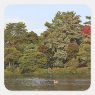 Pegatina Cuadrada Otoño, Lago Roath Park, Cardiff