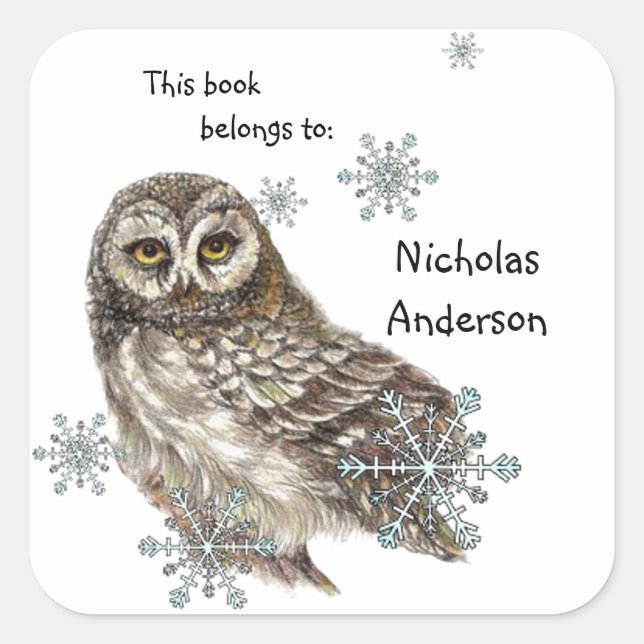 Pegatina Cuadrada Owl Bird Snowflakes Winger Bookplate Arte (Anverso)