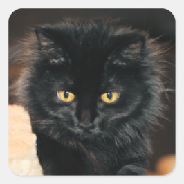 Pegatina Cuadrada Owlette