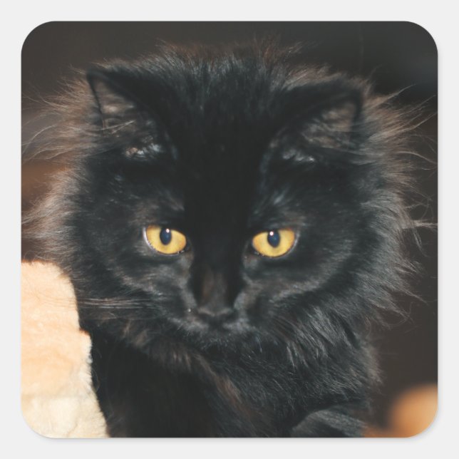 Pegatina Cuadrada Owlette (Anverso)