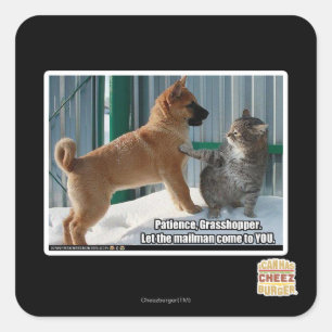 Pegatina Cuadrada Paciencia, Grasshopper.