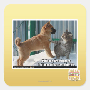 Pegatina Cuadrada Paciencia, saltamontes