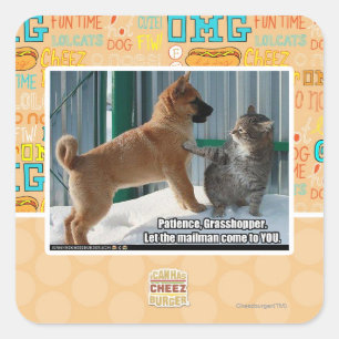 Pegatina Cuadrada Paciencia, saltamontes