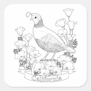 Pegatina Cuadrada Página de Coloración de Aves y Flores del Estado d