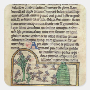 Pegatina Cuadrada Página de Roy del texto con el ilustracion de