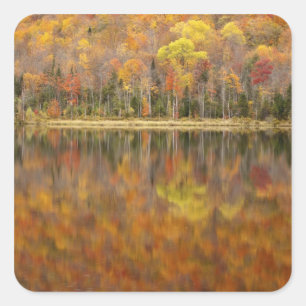 Pegatina Cuadrada paisaje de otoño con lago, Vermont, EE. UU.