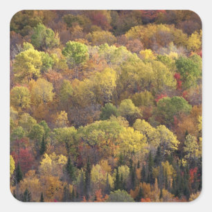 Pegatina Cuadrada paisaje de otoño, Vermont, EE. UU. 2