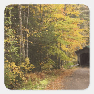 Pegatina Cuadrada paisaje de otoño, Vermont, EE. UU. 4