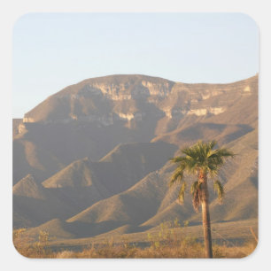 Pegatina Cuadrada Paisaje de rancho desértico cerca de Monterey, Méx