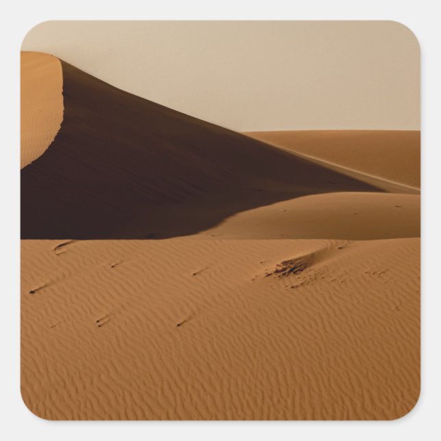 Pegatina Cuadrada Paisaje del desierto de las dunas de arena (Anverso)