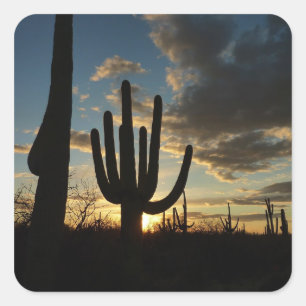 Pegatina Cuadrada Paisaje del desierto de Saguaro Sunset II Arizona