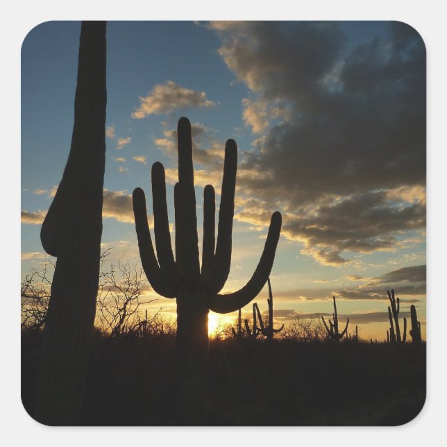 Pegatina Cuadrada Paisaje del desierto de Saguaro Sunset II Arizona (Anverso)