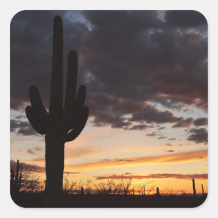 Pegatina Cuadrada Paisaje del desierto Saguaro Sunset III Arizona